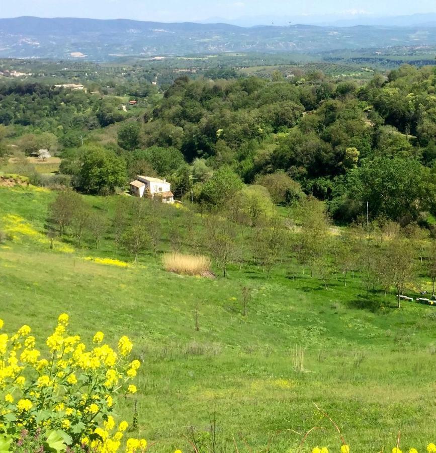 Antico Fienile Villa Celleno Luaran gambar