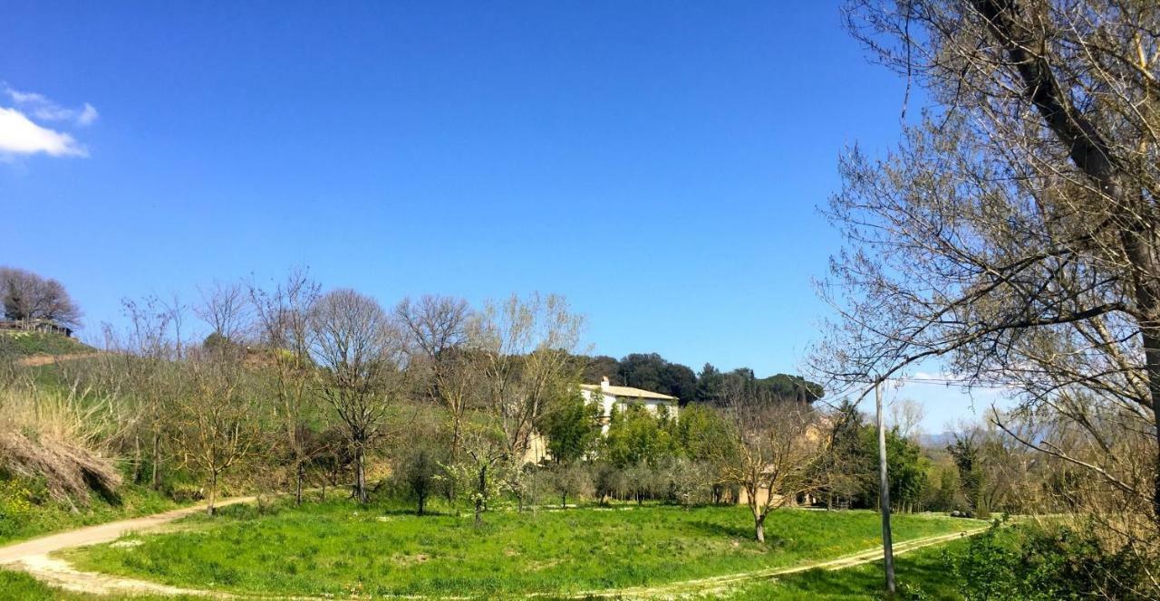 Antico Fienile Villa Celleno Luaran gambar