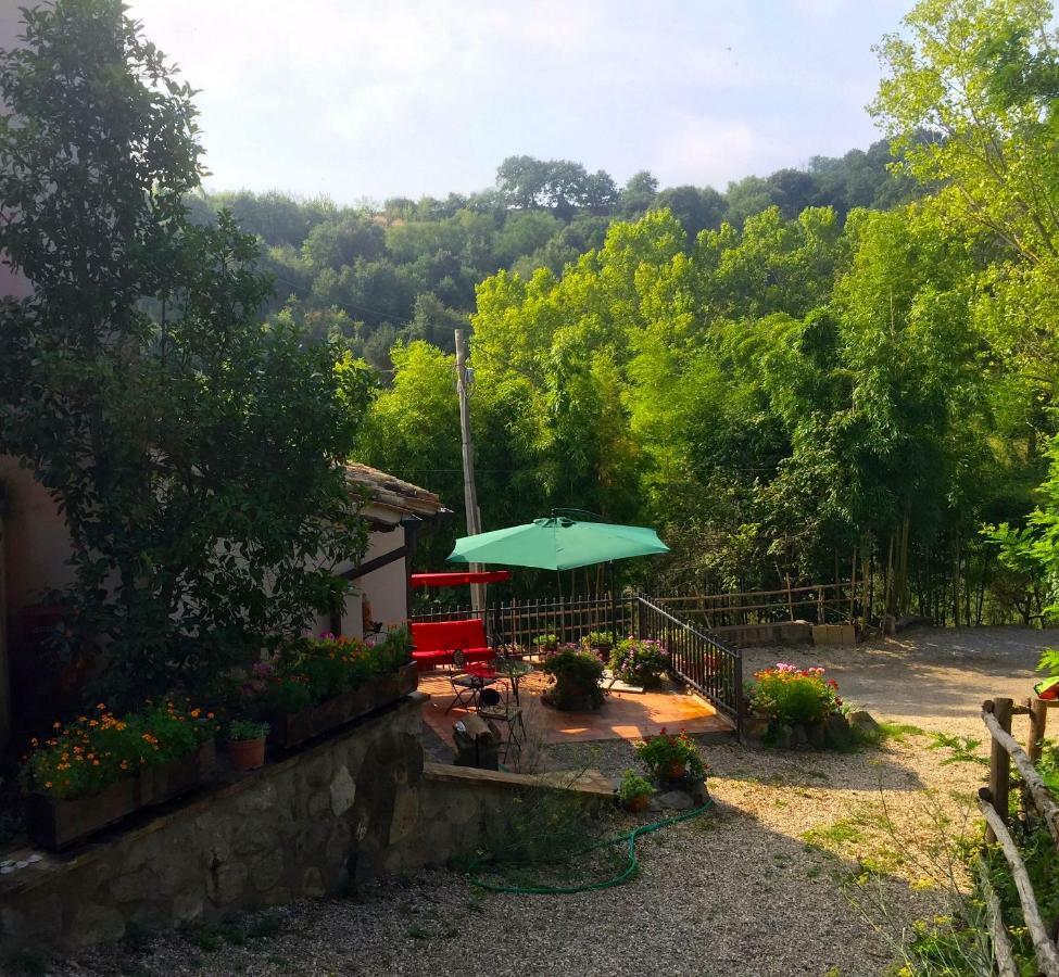 Antico Fienile Villa Celleno Luaran gambar